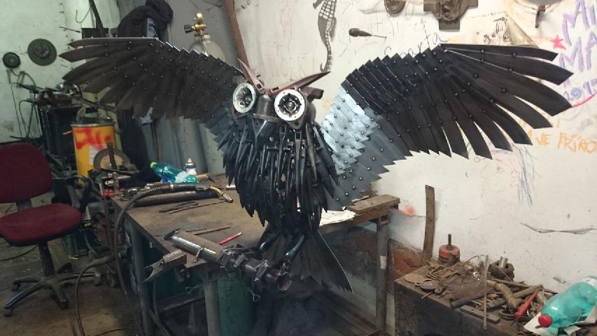 Steel owl